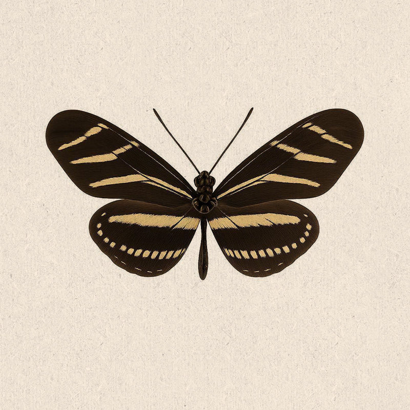 Zebra Longwing